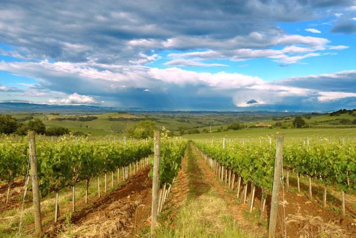 Bed and Breakfast Abbadia Wine Relais Montefollonico Екстер'єр фото