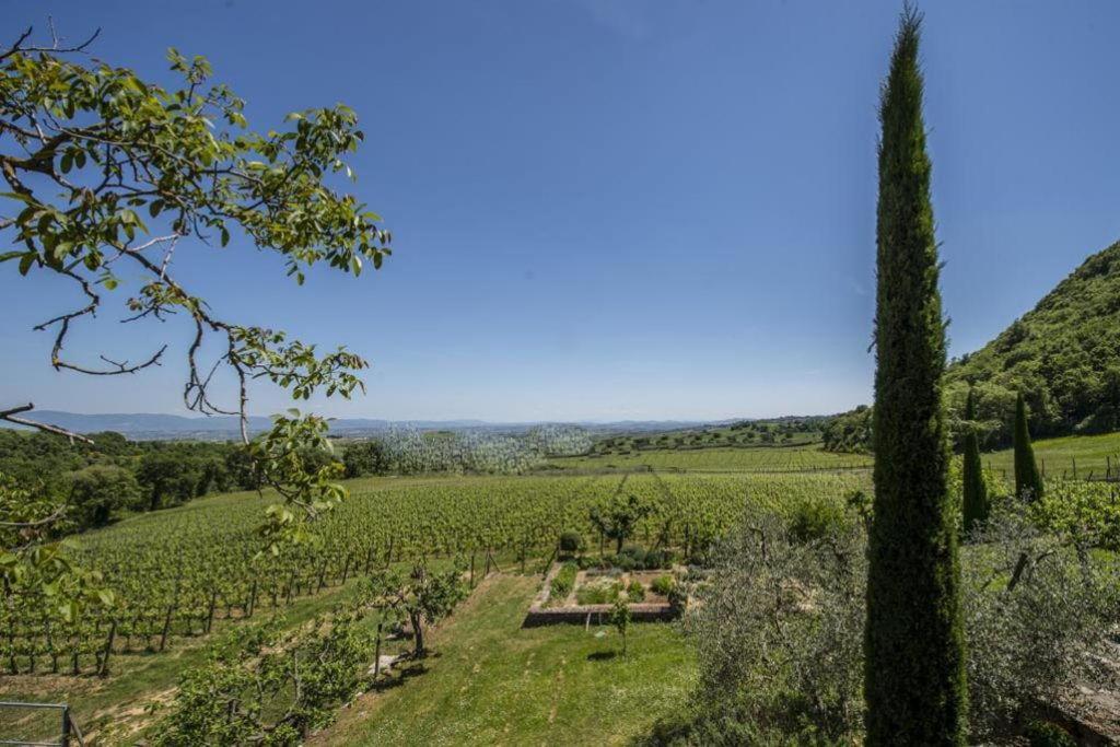 Bed and Breakfast Abbadia Wine Relais Montefollonico Екстер'єр фото