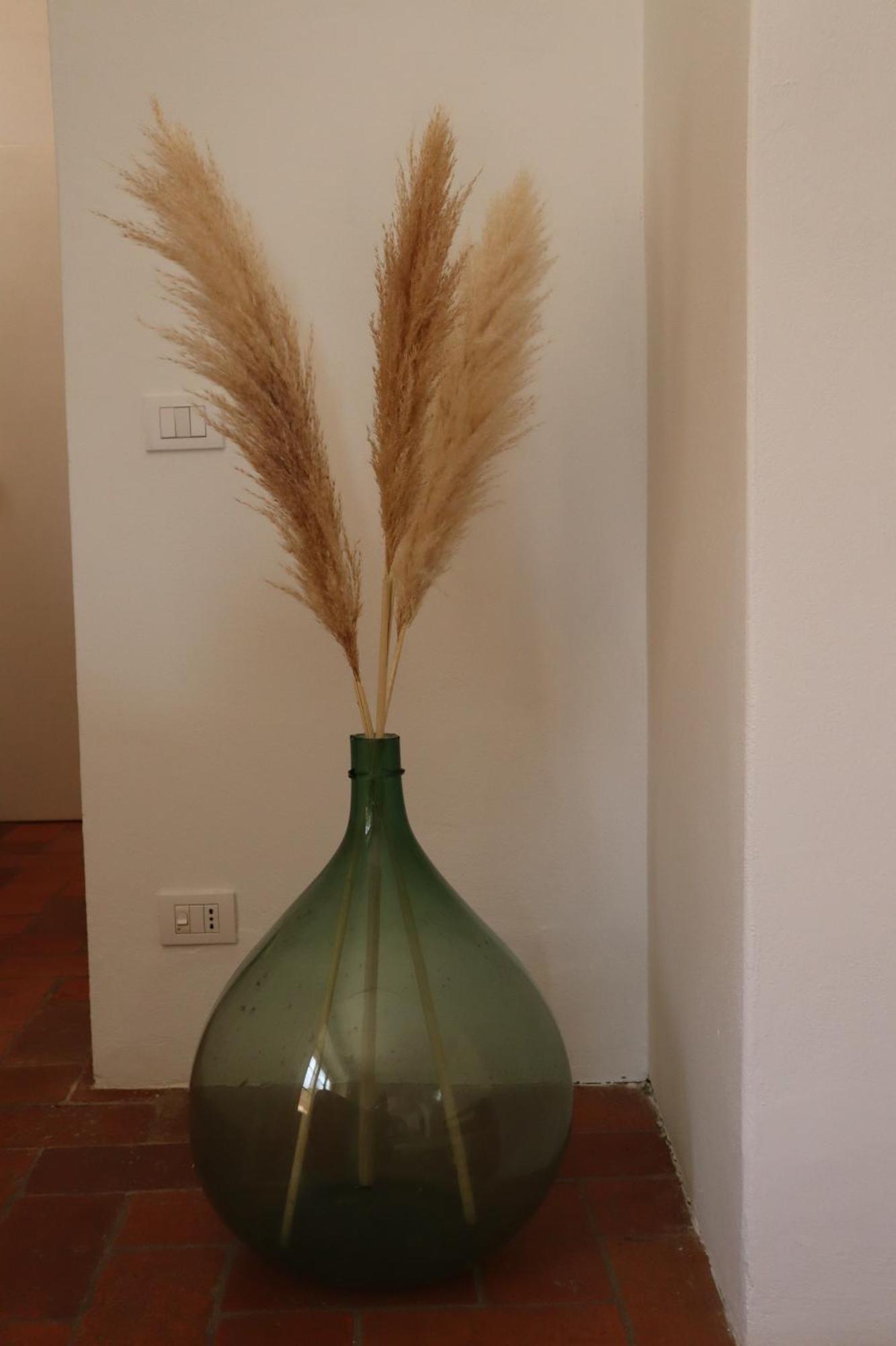 Bed and Breakfast Abbadia Wine Relais Montefollonico Екстер'єр фото