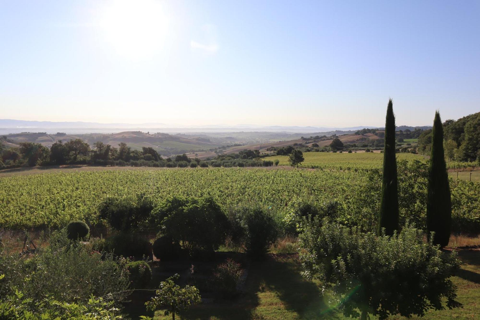 Bed and Breakfast Abbadia Wine Relais Montefollonico Екстер'єр фото