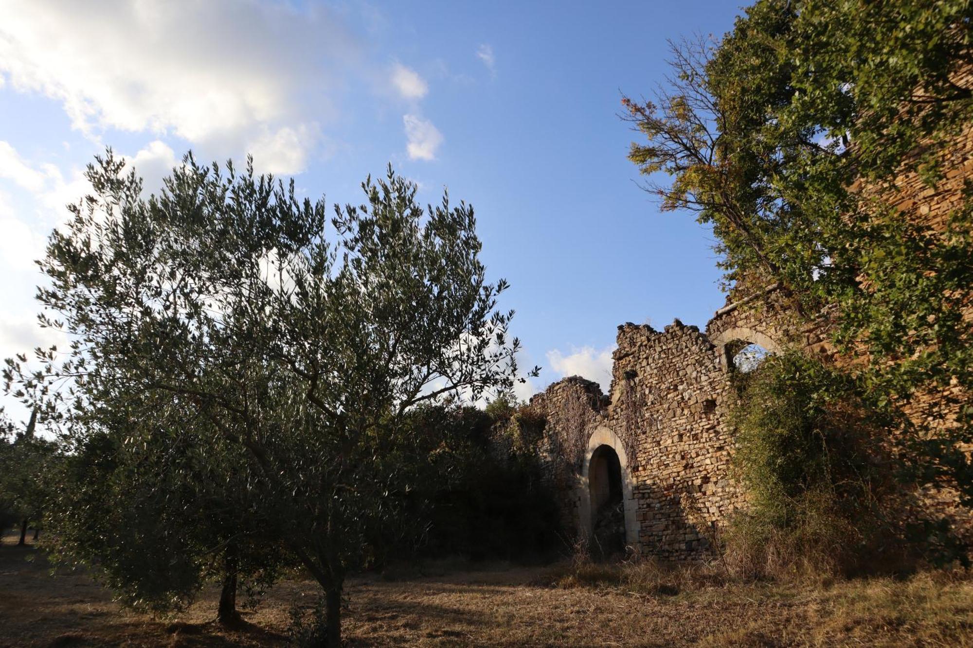 Bed and Breakfast Abbadia Wine Relais Montefollonico Екстер'єр фото