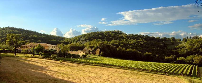 Bed and Breakfast Abbadia Wine Relais Montefollonico Екстер'єр фото