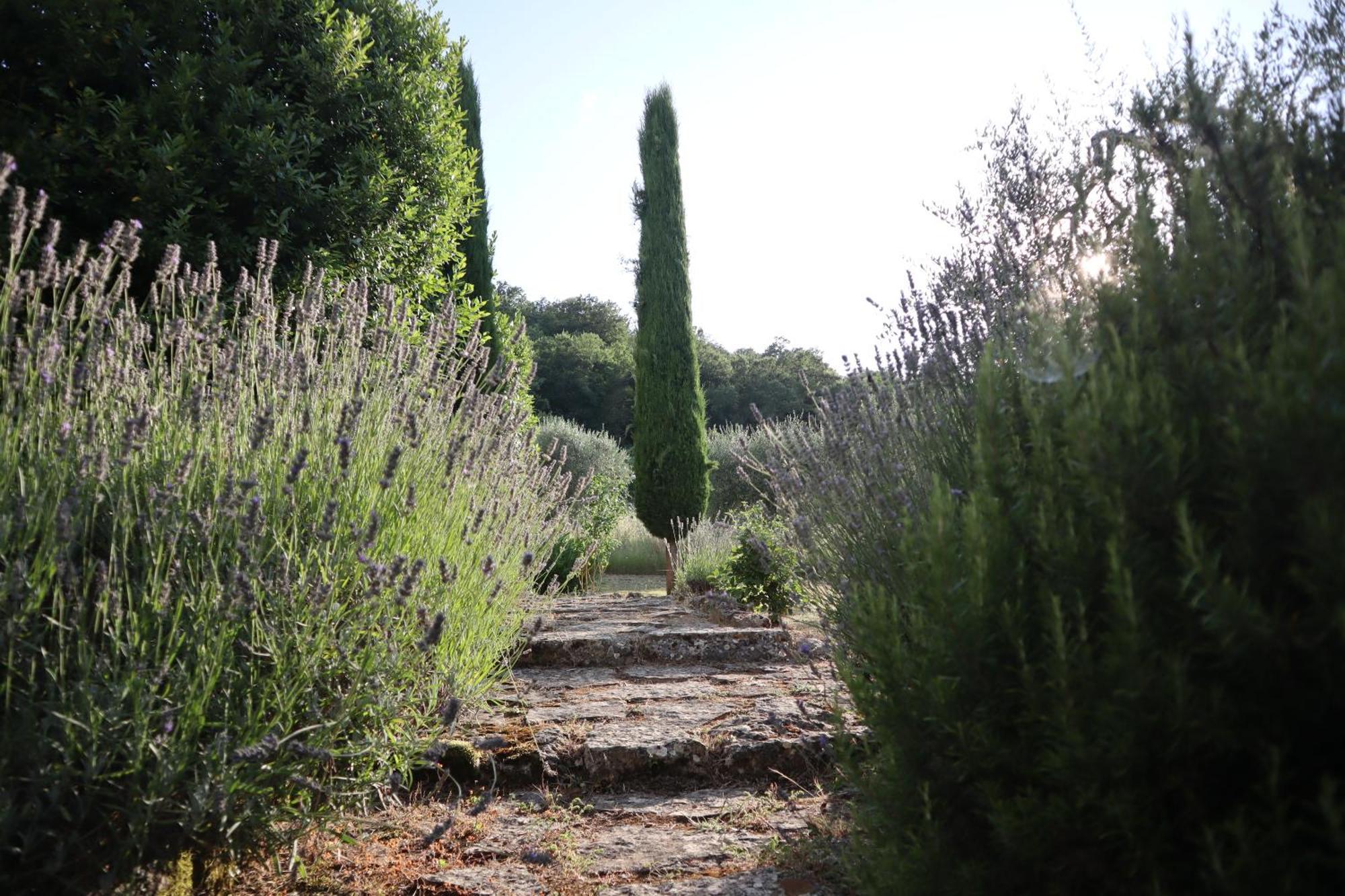 Bed and Breakfast Abbadia Wine Relais Montefollonico Екстер'єр фото