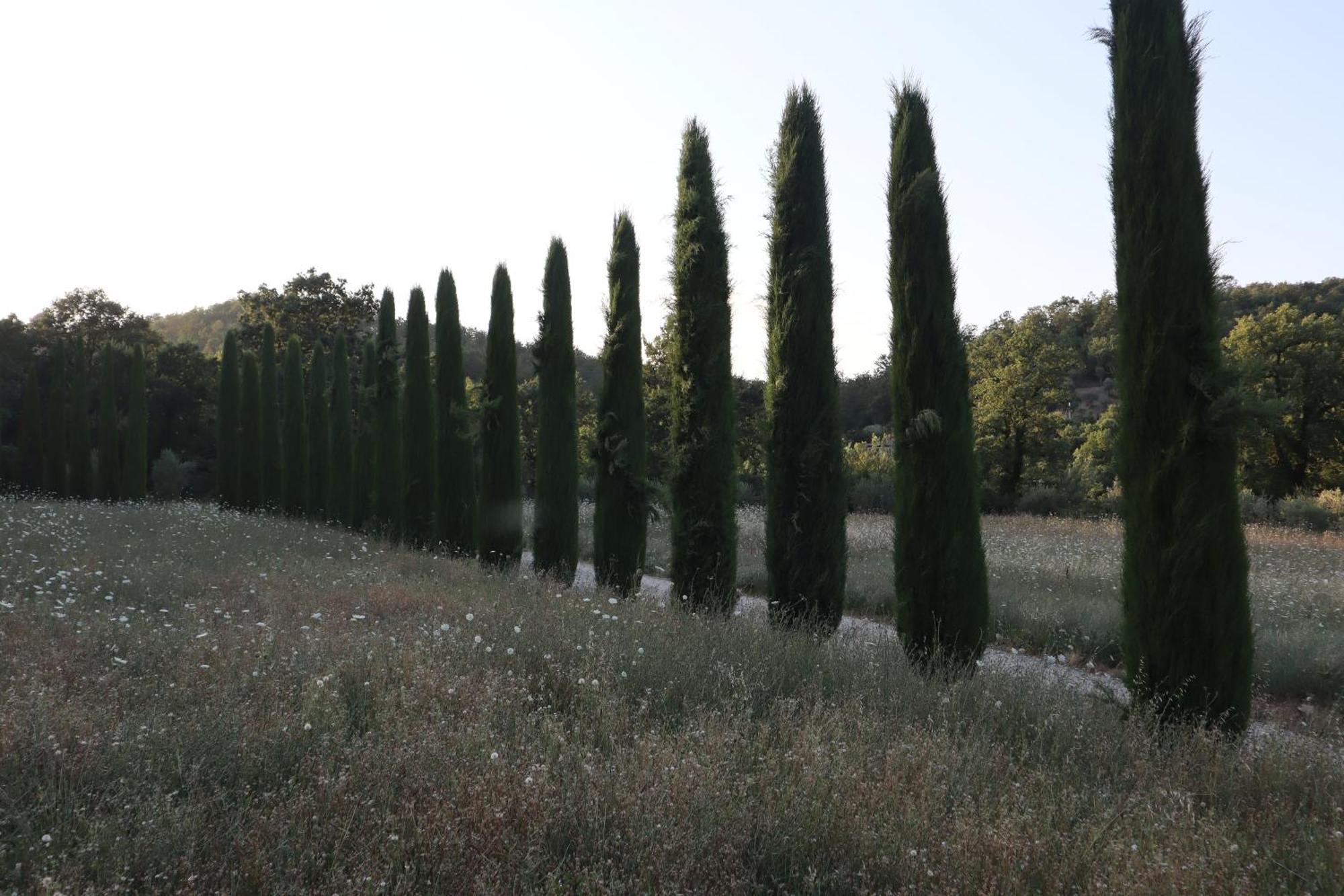 Bed and Breakfast Abbadia Wine Relais Montefollonico Екстер'єр фото