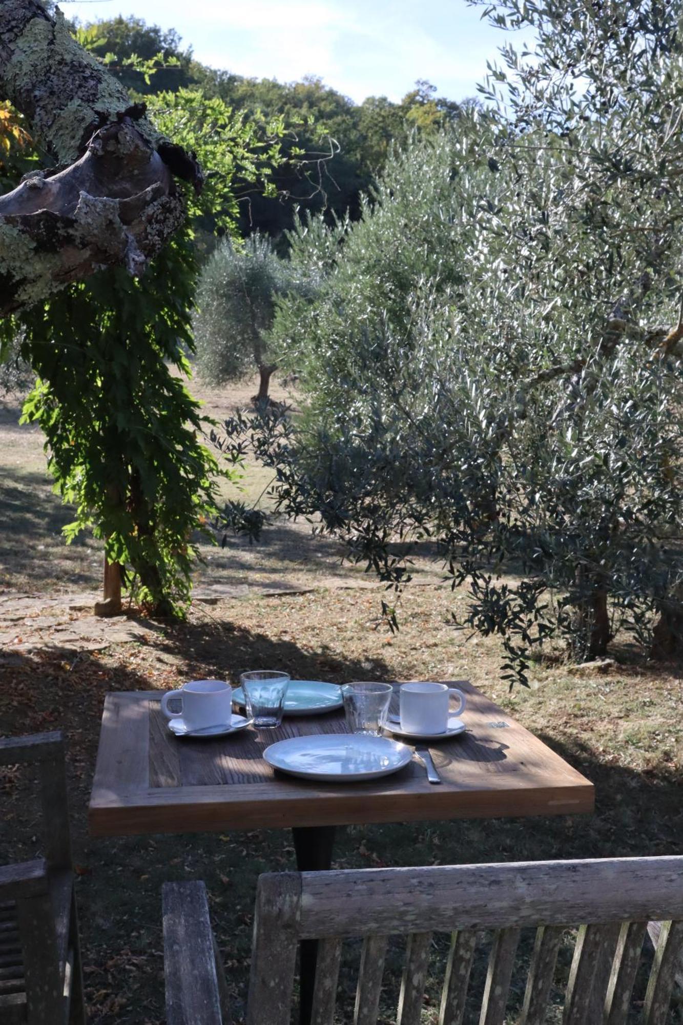 Bed and Breakfast Abbadia Wine Relais Montefollonico Екстер'єр фото