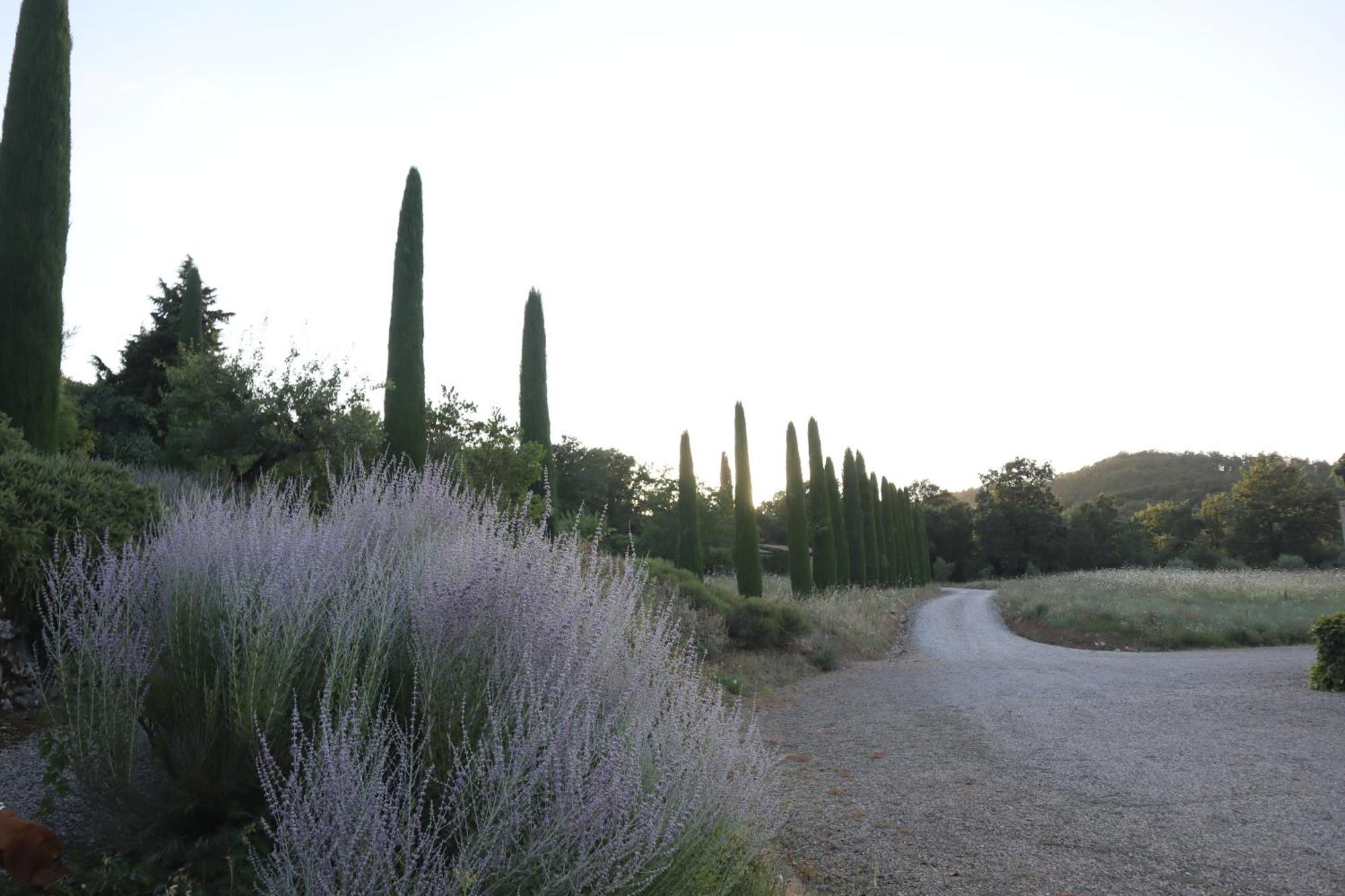 Bed and Breakfast Abbadia Wine Relais Montefollonico Екстер'єр фото