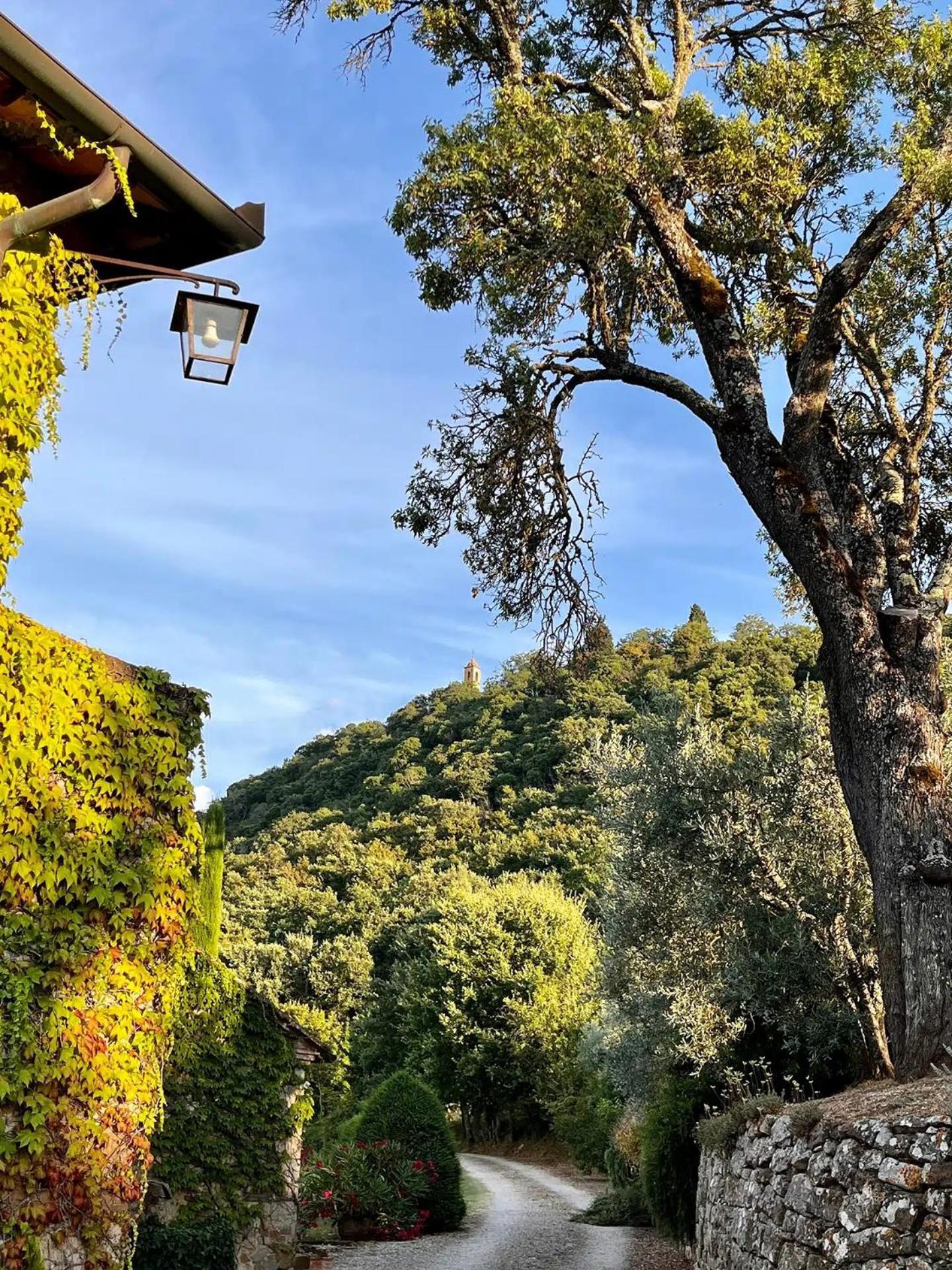 Bed and Breakfast Abbadia Wine Relais Montefollonico Екстер'єр фото